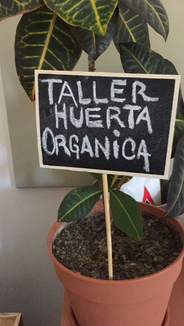 Taller de huerta orgánica
